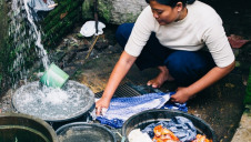 The partnerships will be used to spur investment in - and collaboration for - sustainable catchment management across Africa, Bolivia and Latin America